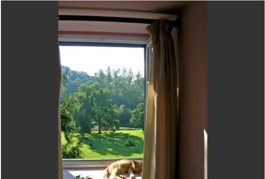 Chambres D'Hotes La Baudriere Livaie Zimmer foto
